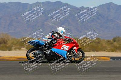 media/Mar-12-2023-SoCal Trackdays (Sun) [[d4c8249724]]/Turn 9 Side (1pm)/